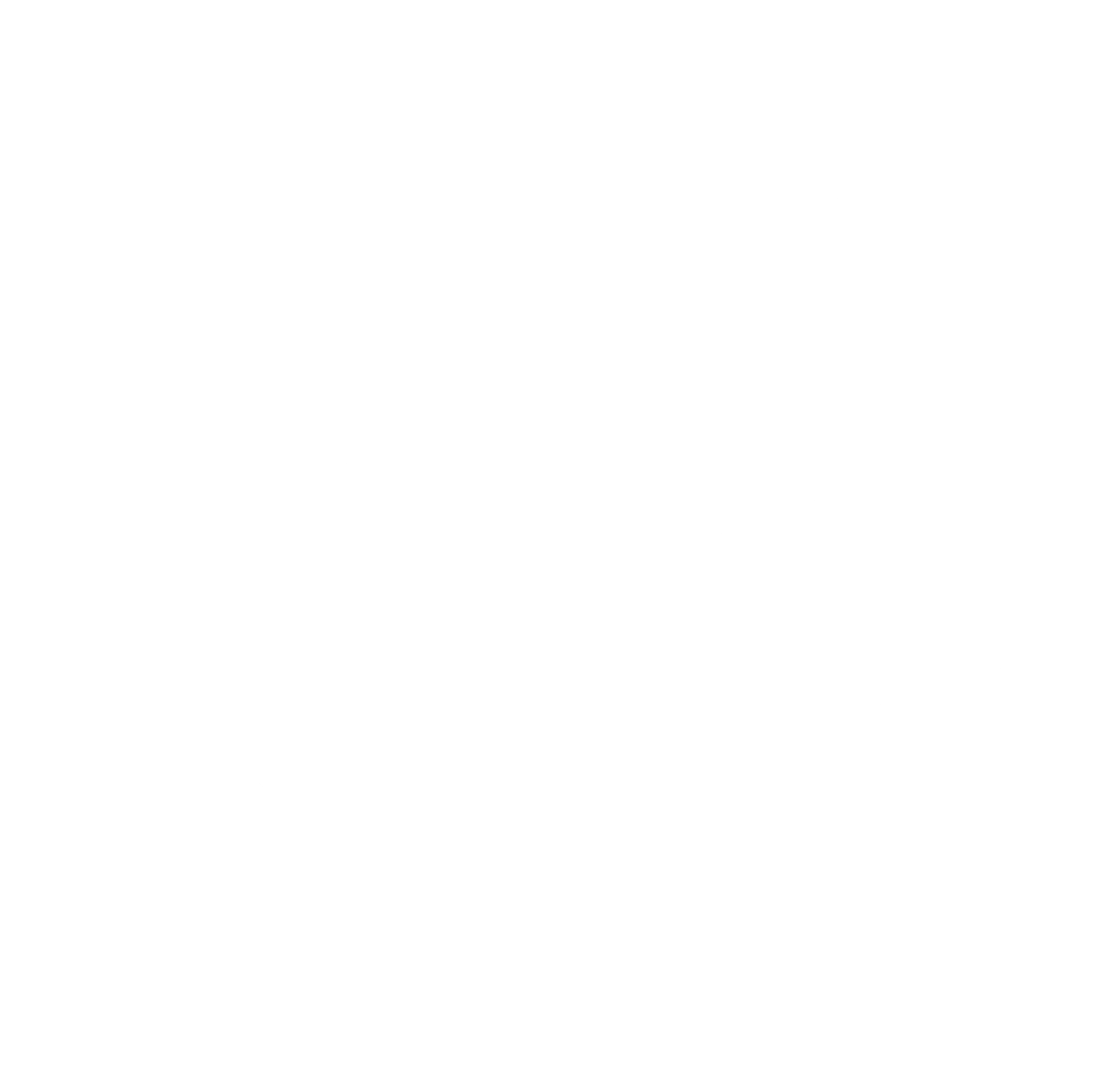 Best Logo - Zeylan Logo - Sphiria Digital Studio